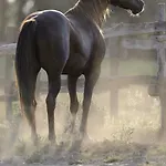 Walter Ranch * Kaskantyu