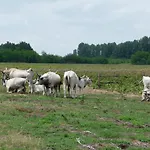 Walter Ranch Hébergement de vacances *