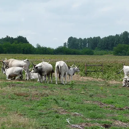 Walter Ranch Vakantiehuis *