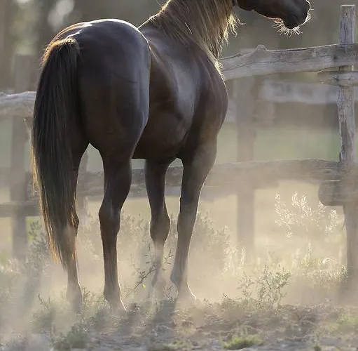 Walter Ranch * Kaskantyú