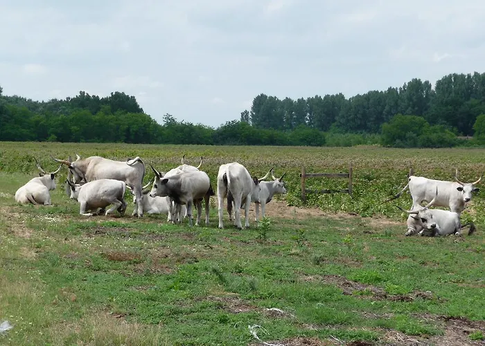 Walter Ranch בית נופש *
